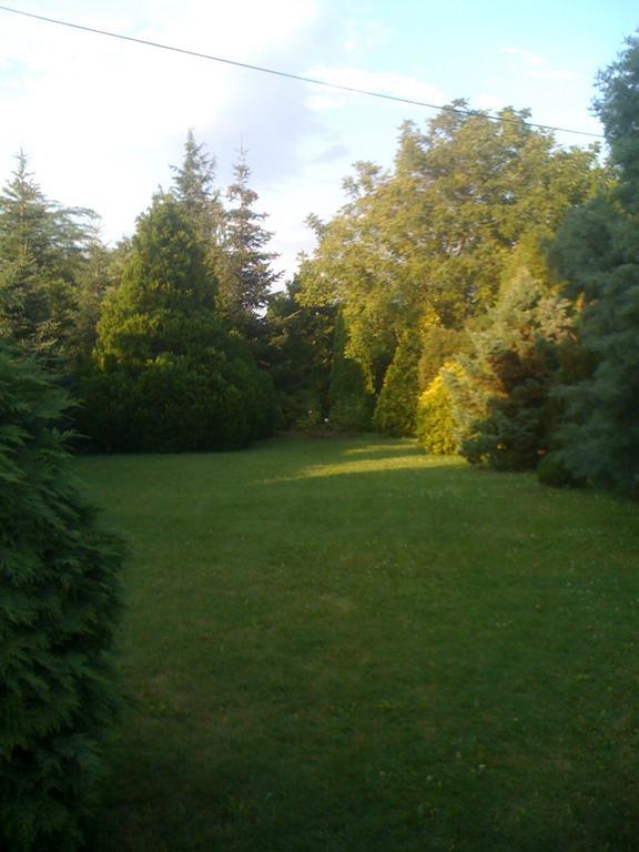 Ilona Panzio Hotel Balatonlelle Buitenkant foto